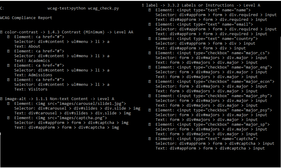 WCAG compliance report generated by Python script showing classified accessibility issues